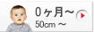0����� (50cm/60cm/70cm) �� �ˤλҤΥ٥ӡ���