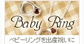 �л��ˤ����������ץ쥼��Ȥˡ��٥ӡ����