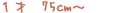 1�͡�75cm��