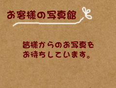 ダミーイメージ